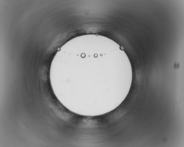X0000111610311200908141300