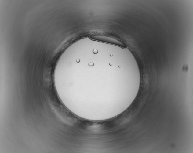 X0000111610312200908141300