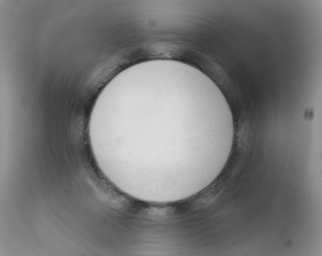 X0000111610314200908141300