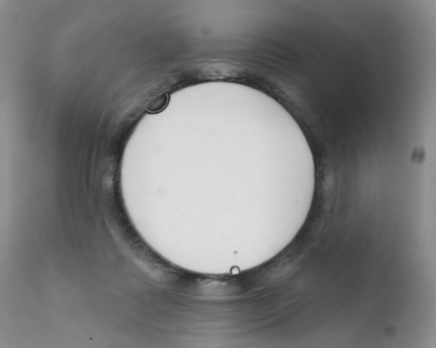 X0000111610315200908141300