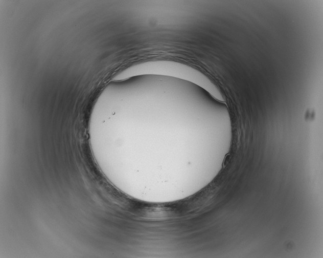 X0000111610316200908141300