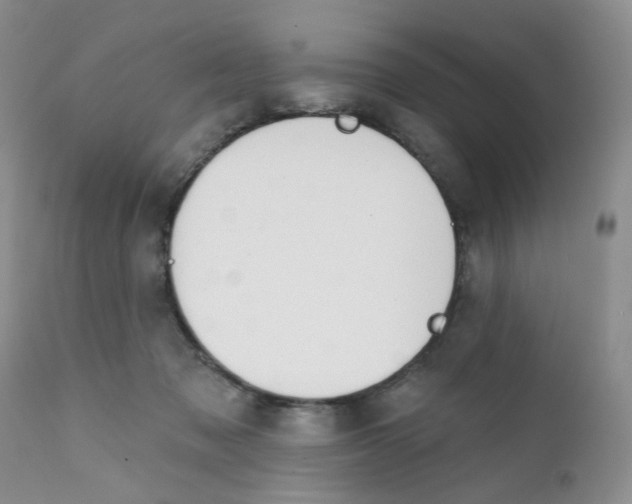 X0000111610317200908141300