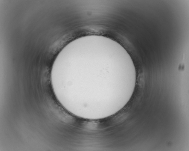 X0000111610318200908141300