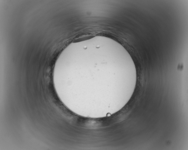 X0000111610319200908141300
