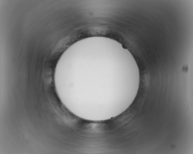 X0000111610323200908141300