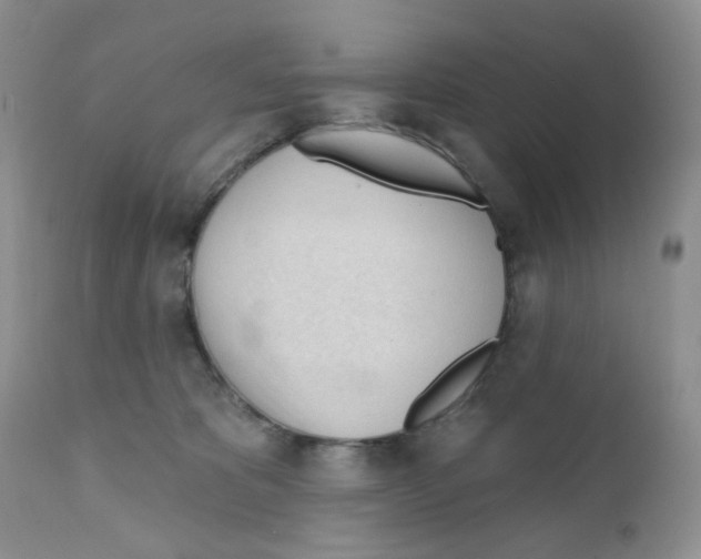 X0000111610325200908141300