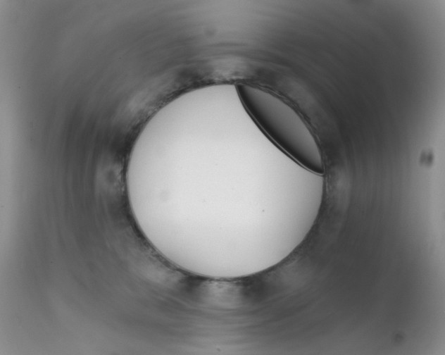 X0000111610327200908141300