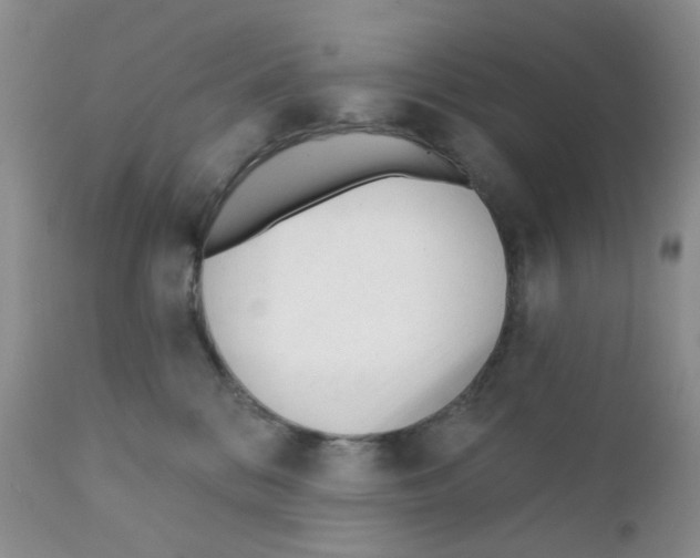 X0000111610328200908141300