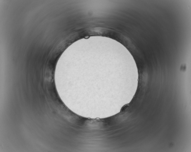 X0000111610331200908141300