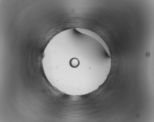 X0000111610333200908141300
