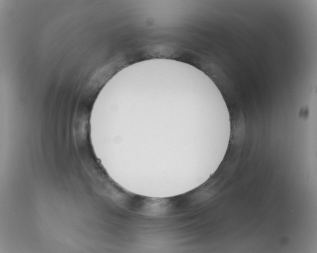 X0000111610334200908141300