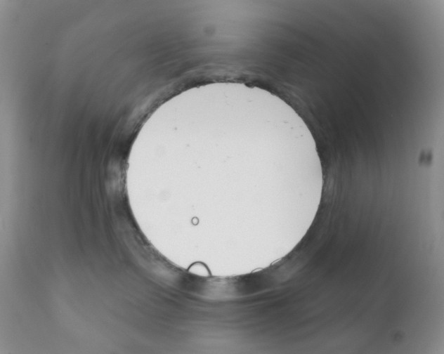 X0000111610335200908141300