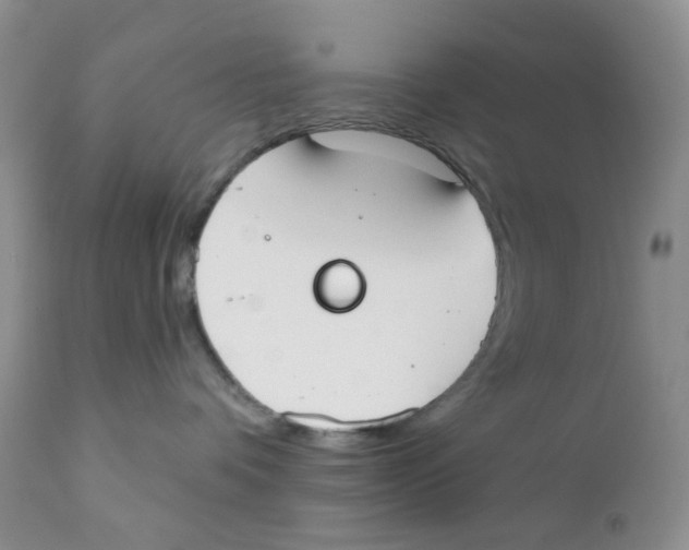 X0000111610336200908141300