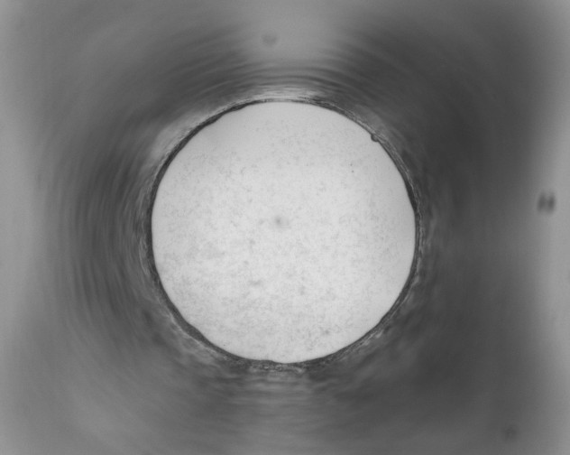 X0000111610337200908141259
