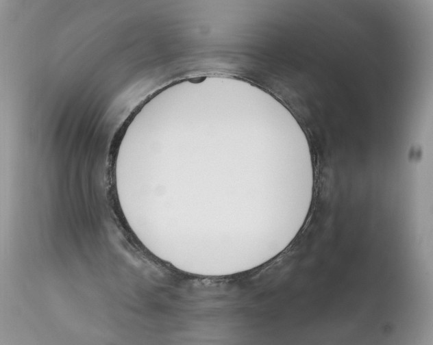 X0000111610338200908141259