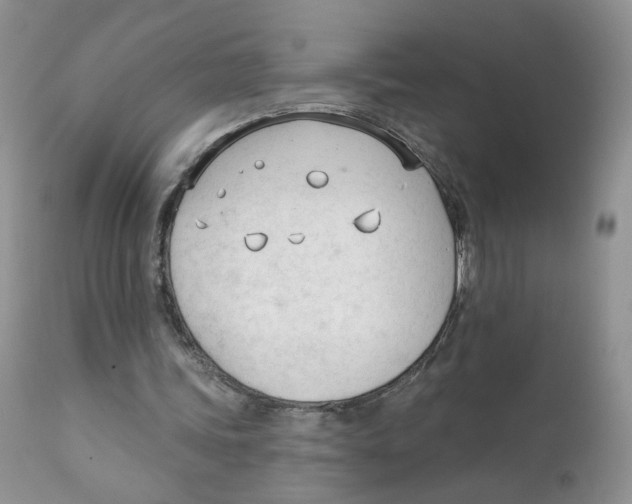X0000111610339200908141259