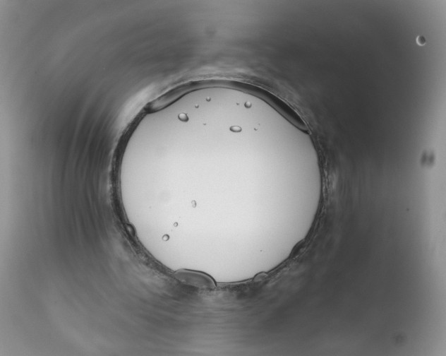 X0000111610340200908141259