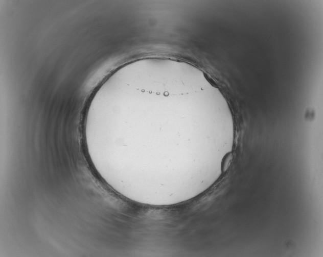 X0000111610341200908141259