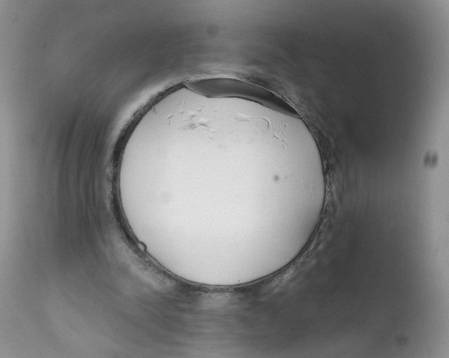 X0000111610342200908141259