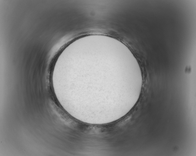 X0000111610343200908141259