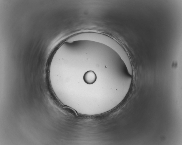 X0000111610344200908141259