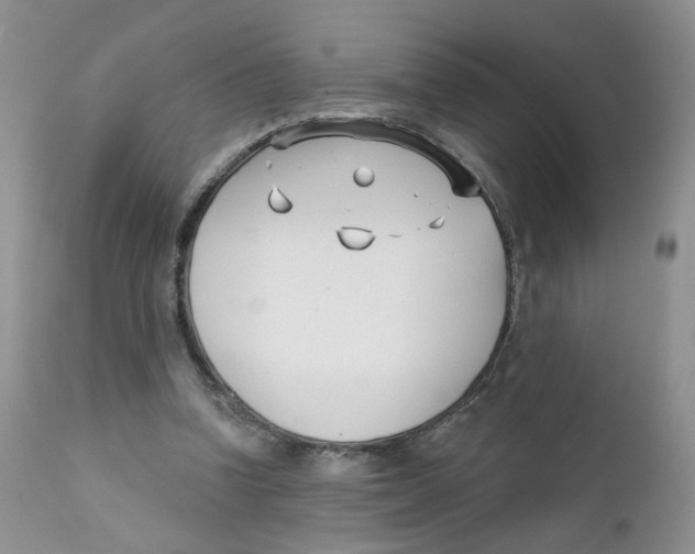 X0000111610346200908141259