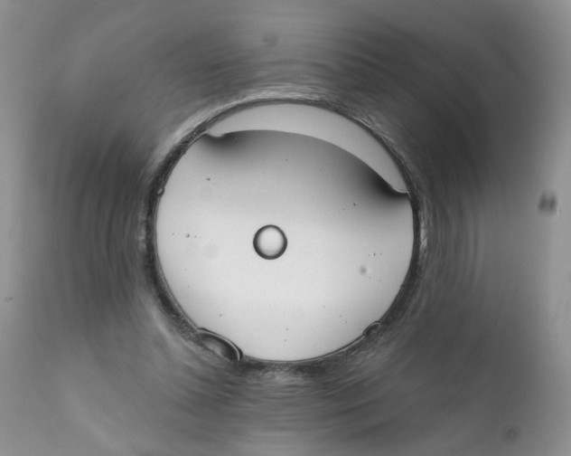 X0000111610348200908141259