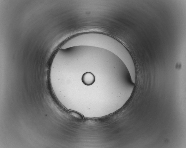 X0000111610350200908141259