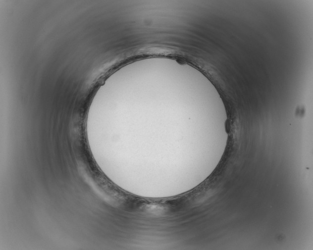 X0000111610352200908141259