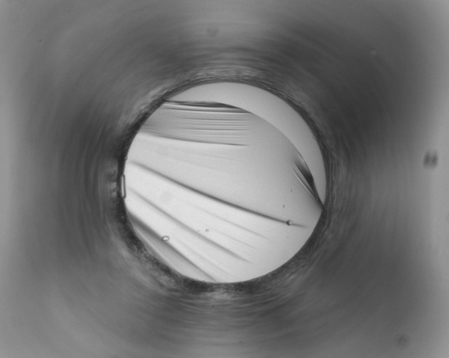 X0000111610356200908141259