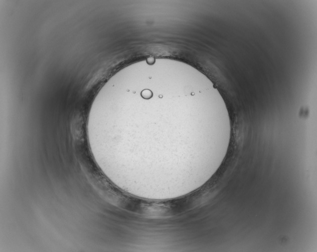 X0000111610359200908141259