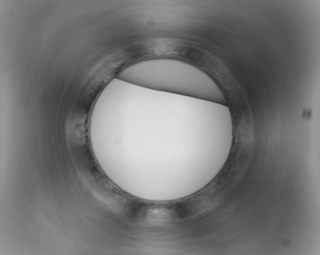 X0000111610360200908141259