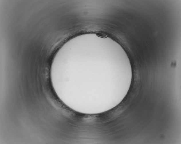 X0000111610362200908141259