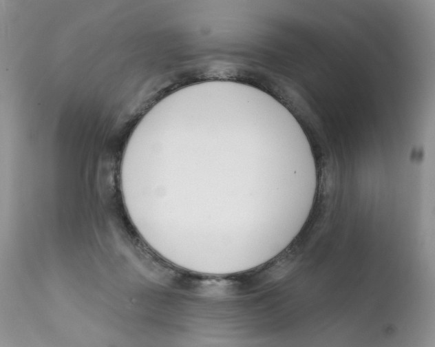 X0000111610363200908141259