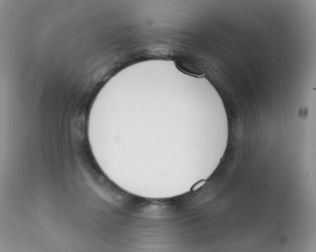 X0000111610364200908141259