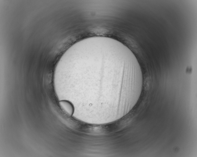 X0000111610365200908141259
