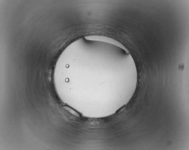 X0000111610368200908141259