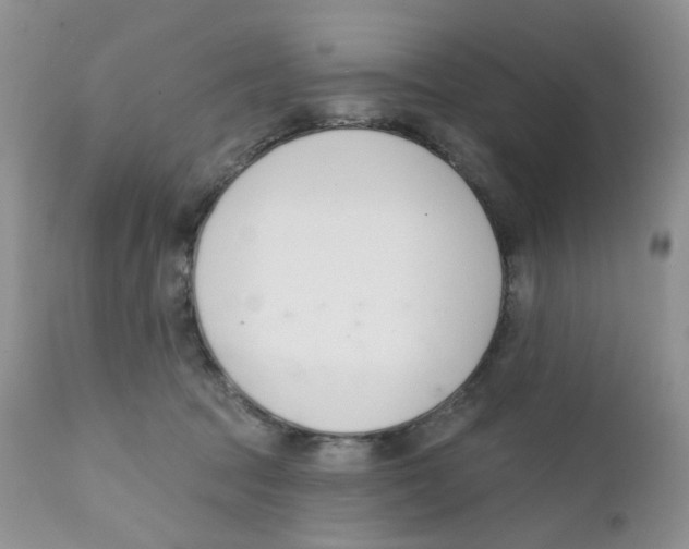 X0000111610369200908141259