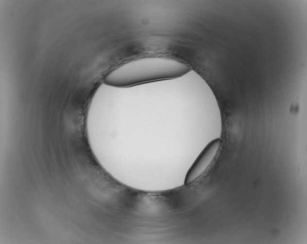X0000111610372200908141259