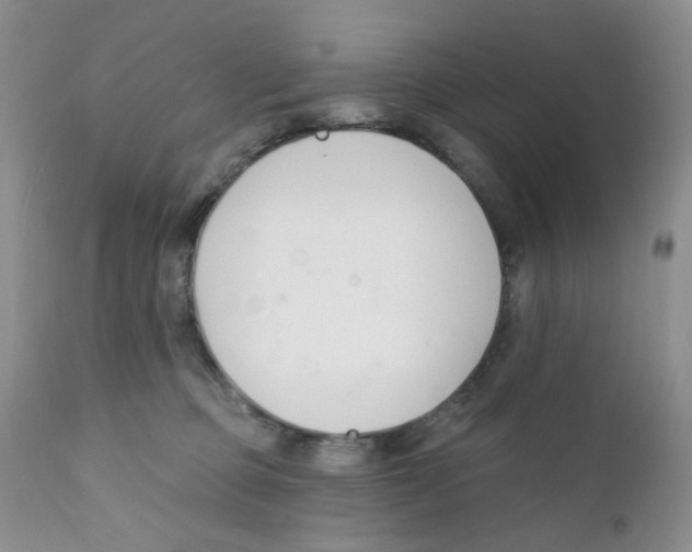 X0000111610373200908141259