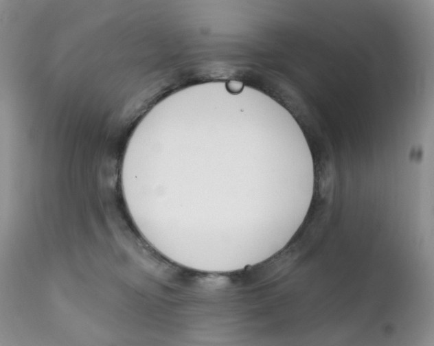 X0000111610374200908141259
