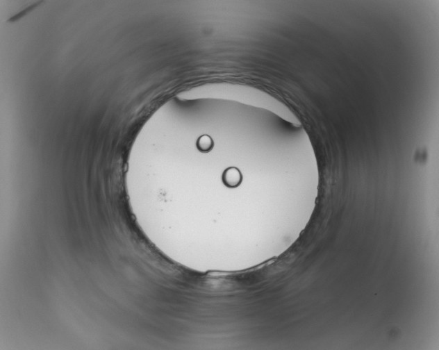 X0000111610376200908141259