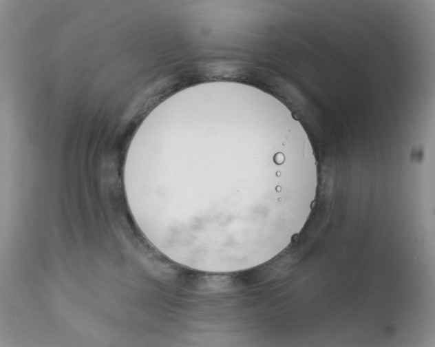 X0000111610377200908141259