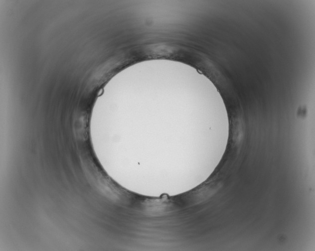 X0000111610378200908141259