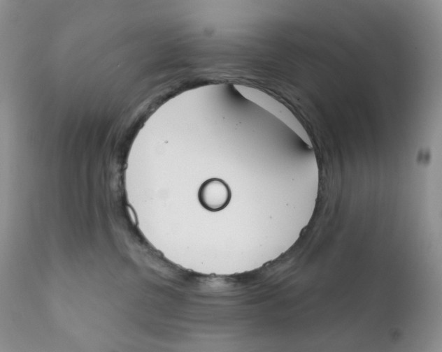 X0000111610380200908141259