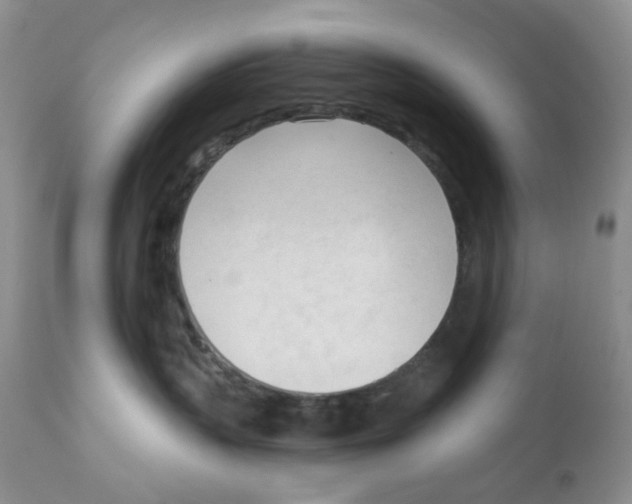 X0000111610383200908141300