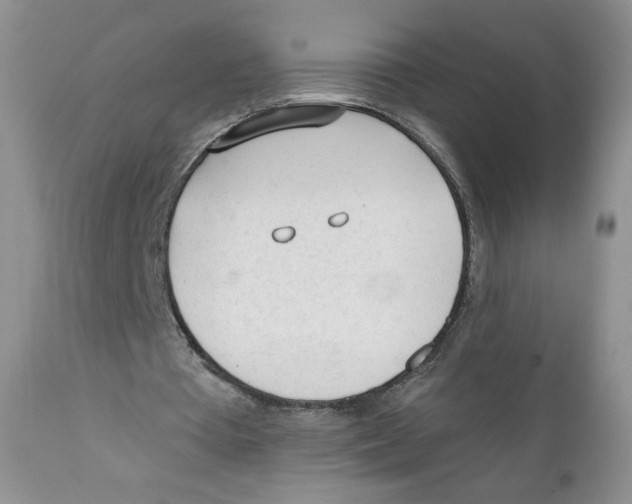 X0000111610385200908141259
