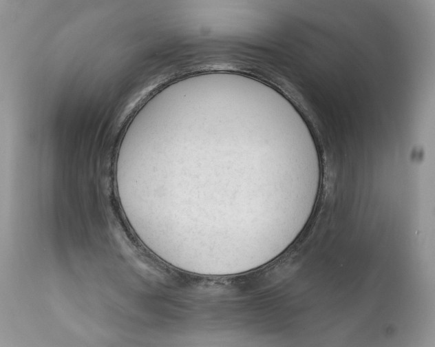 X0000111610386200908141259