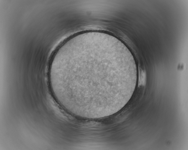 X0000111610387200908141259
