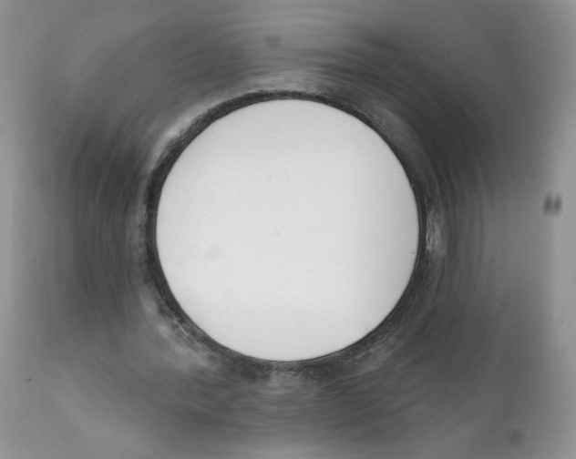 X0000111610388200908141259